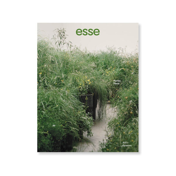 99 - Plants
