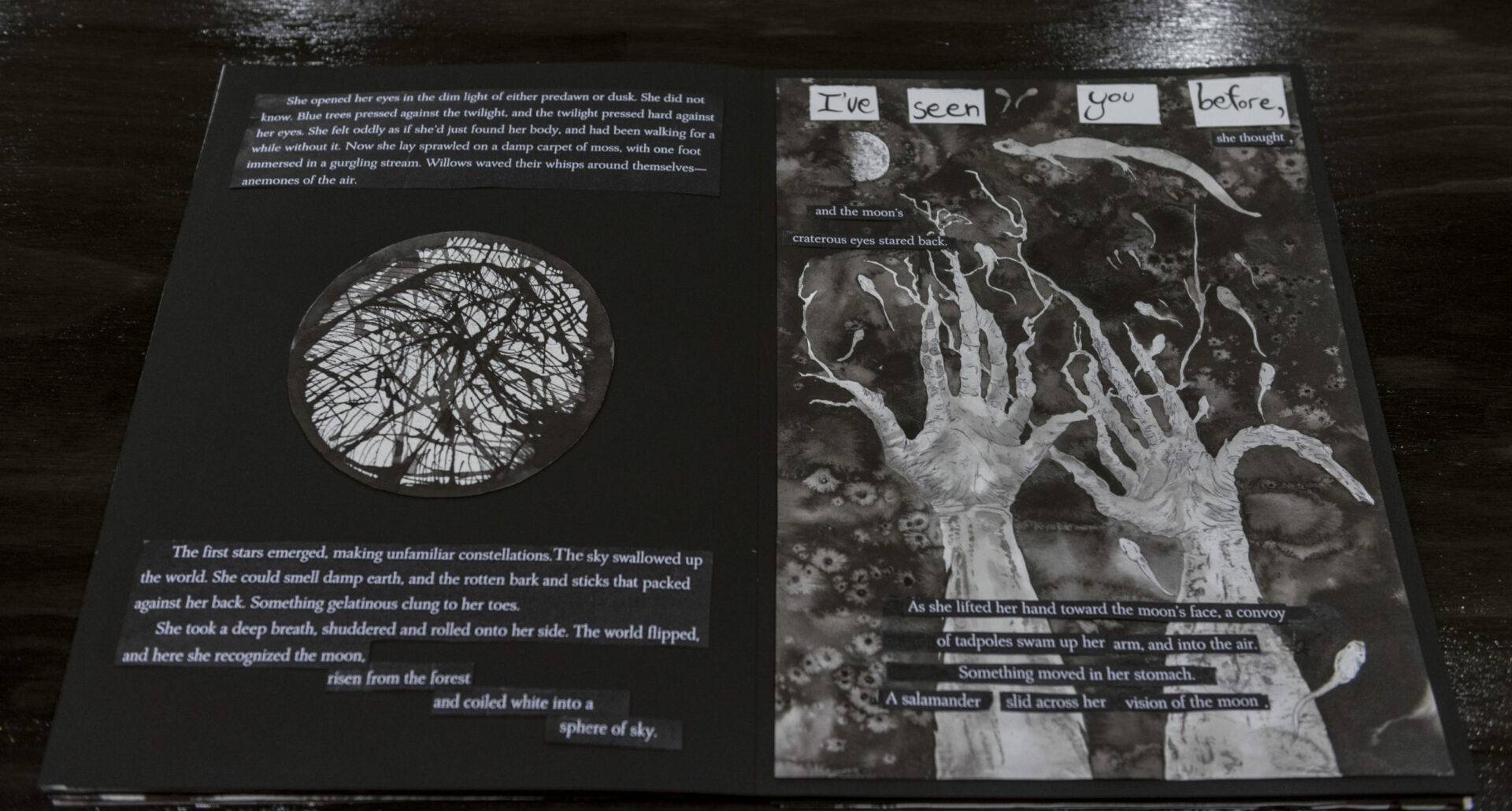_Holyoak_Book of Nineteen Nocturnes