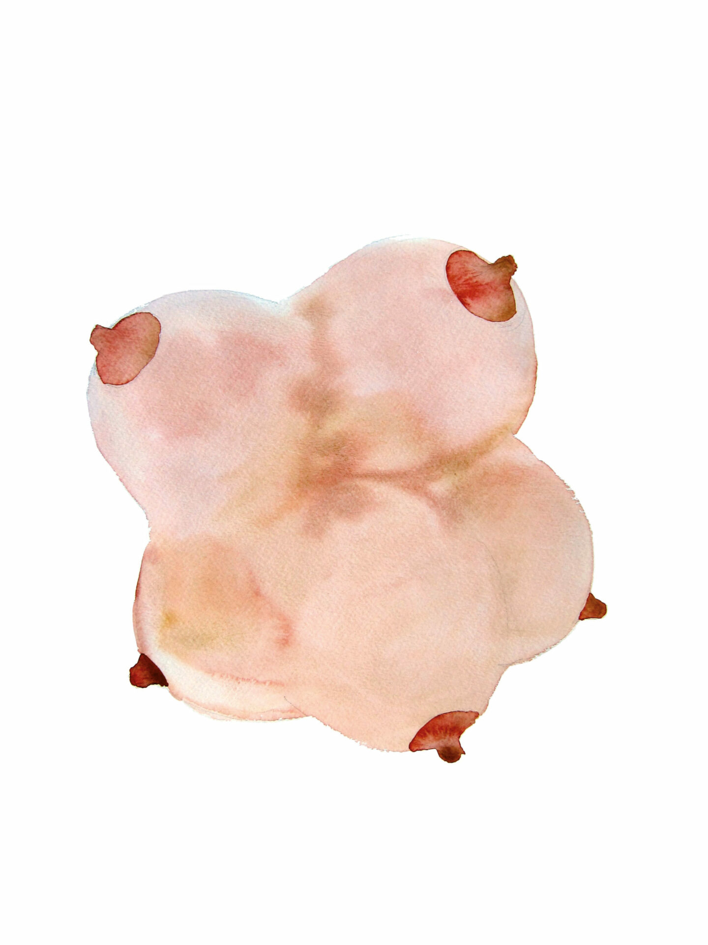 La planète des seins
