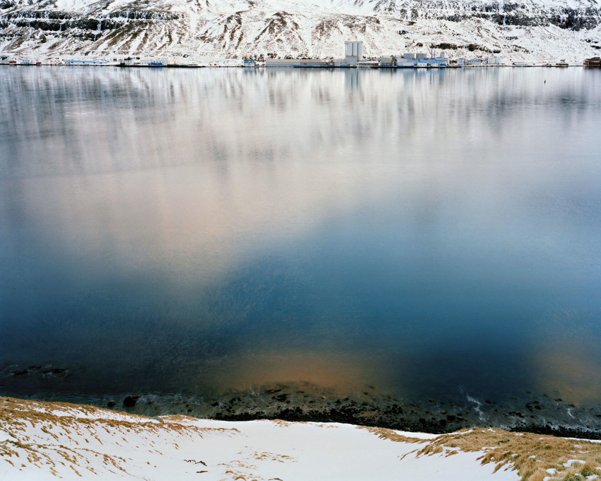 FjordFishPlant
