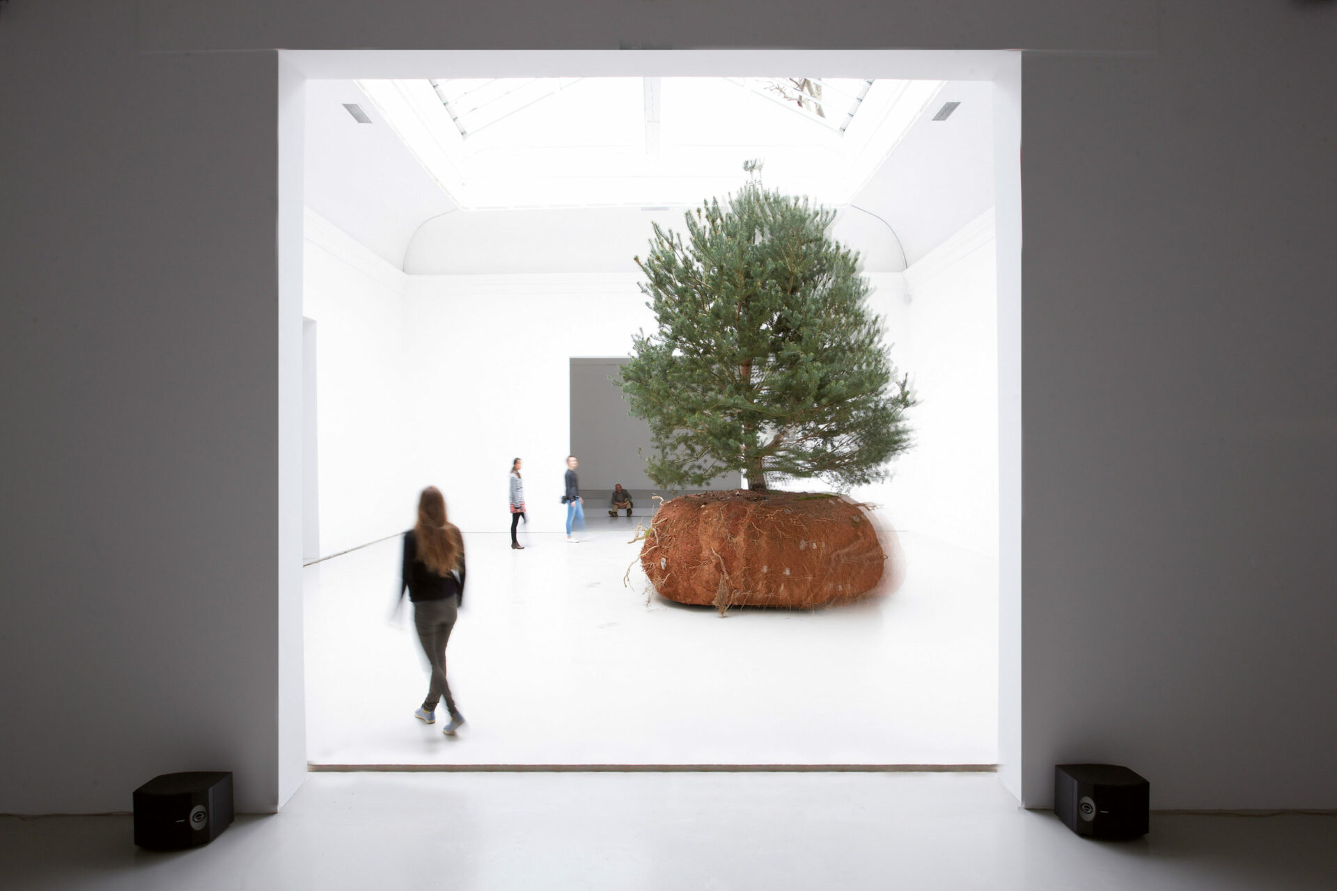 Céleste Boursier-Mougenot, rêvolutions , Pavillon Français, Biennale de Venise, mai 2015.© Photos-Laurent Lecat