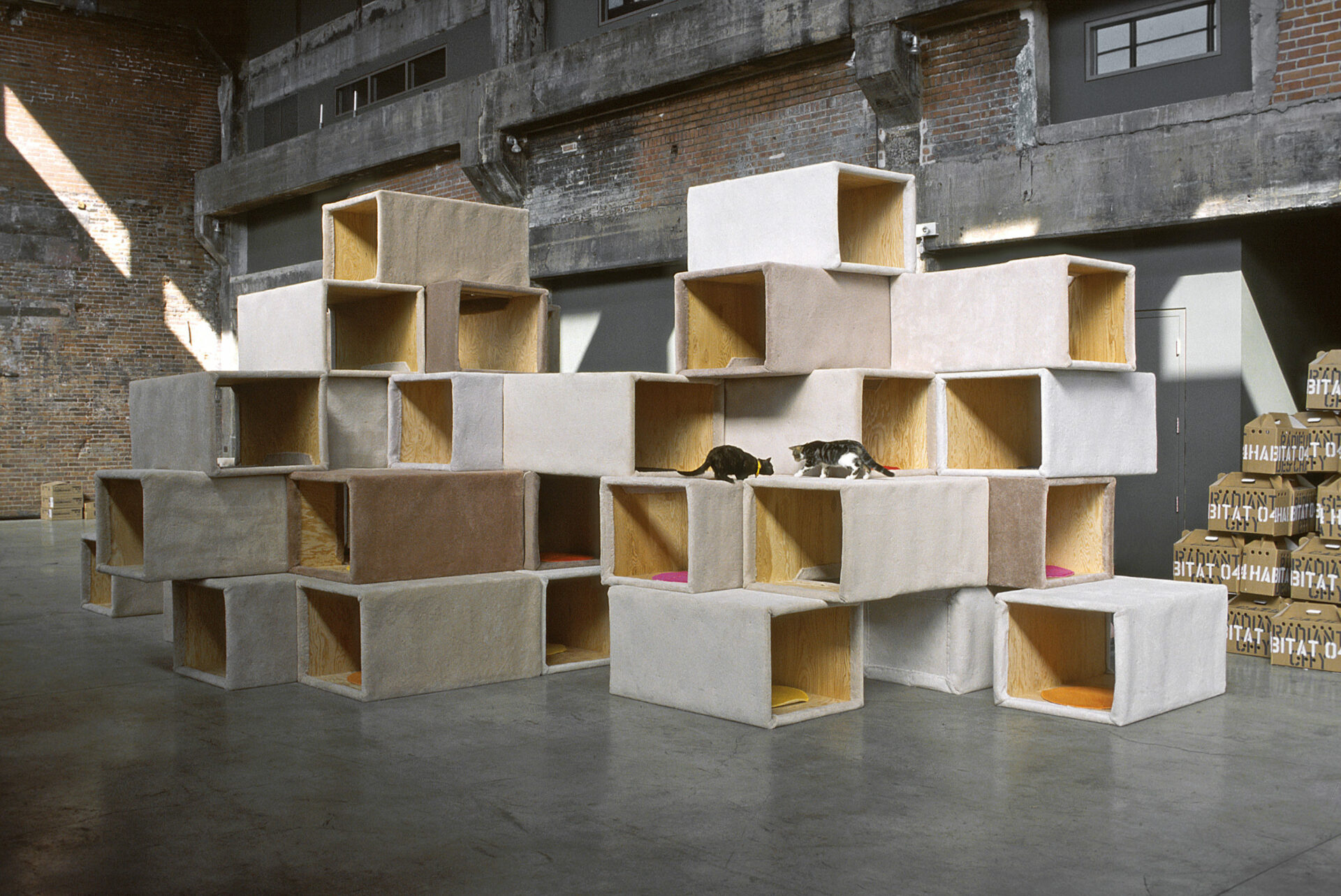 87_PF05_Scott_Jungen_Habitat 04,