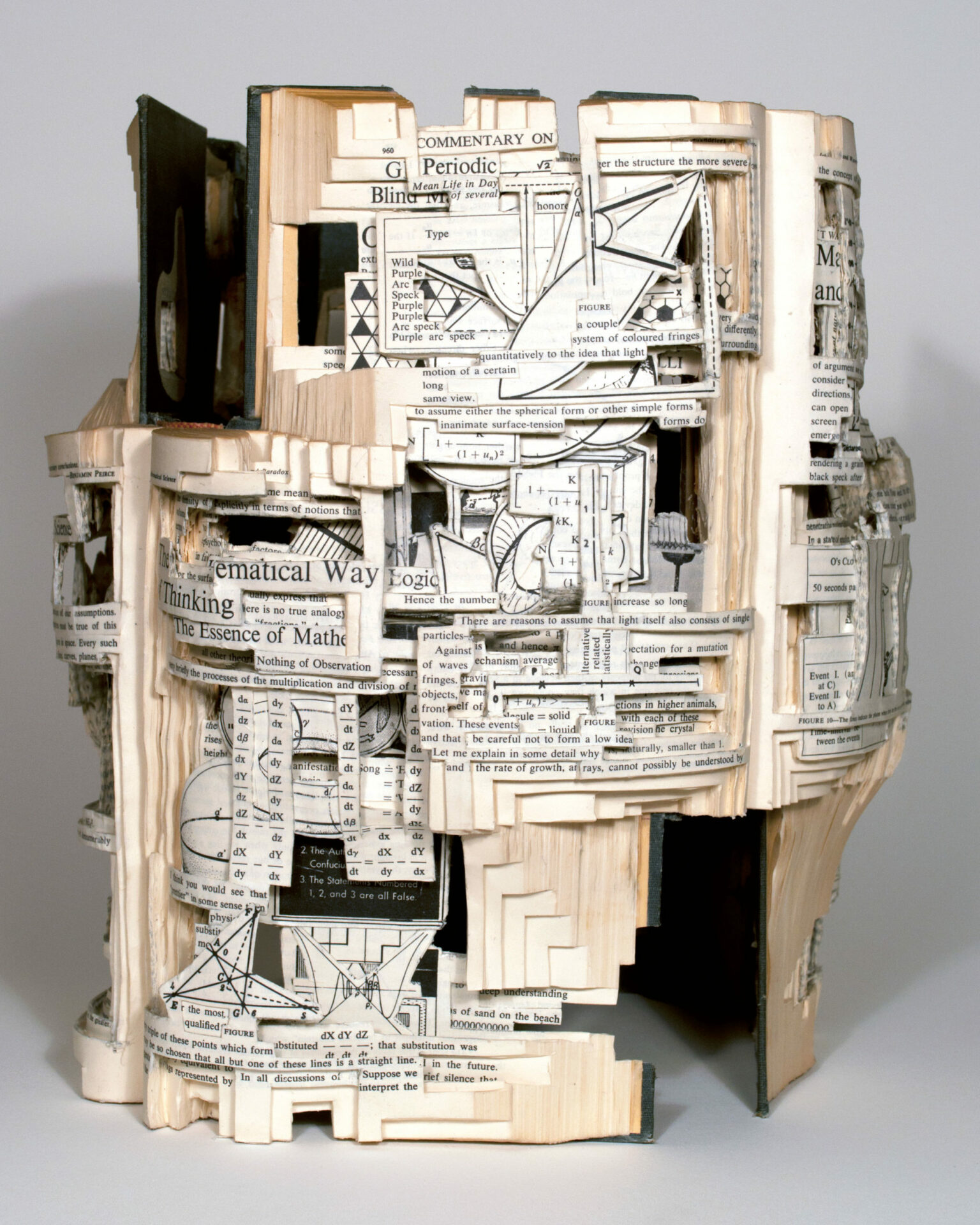 89_PF04_De Roy_Dettmer_TheWorldofMathematics