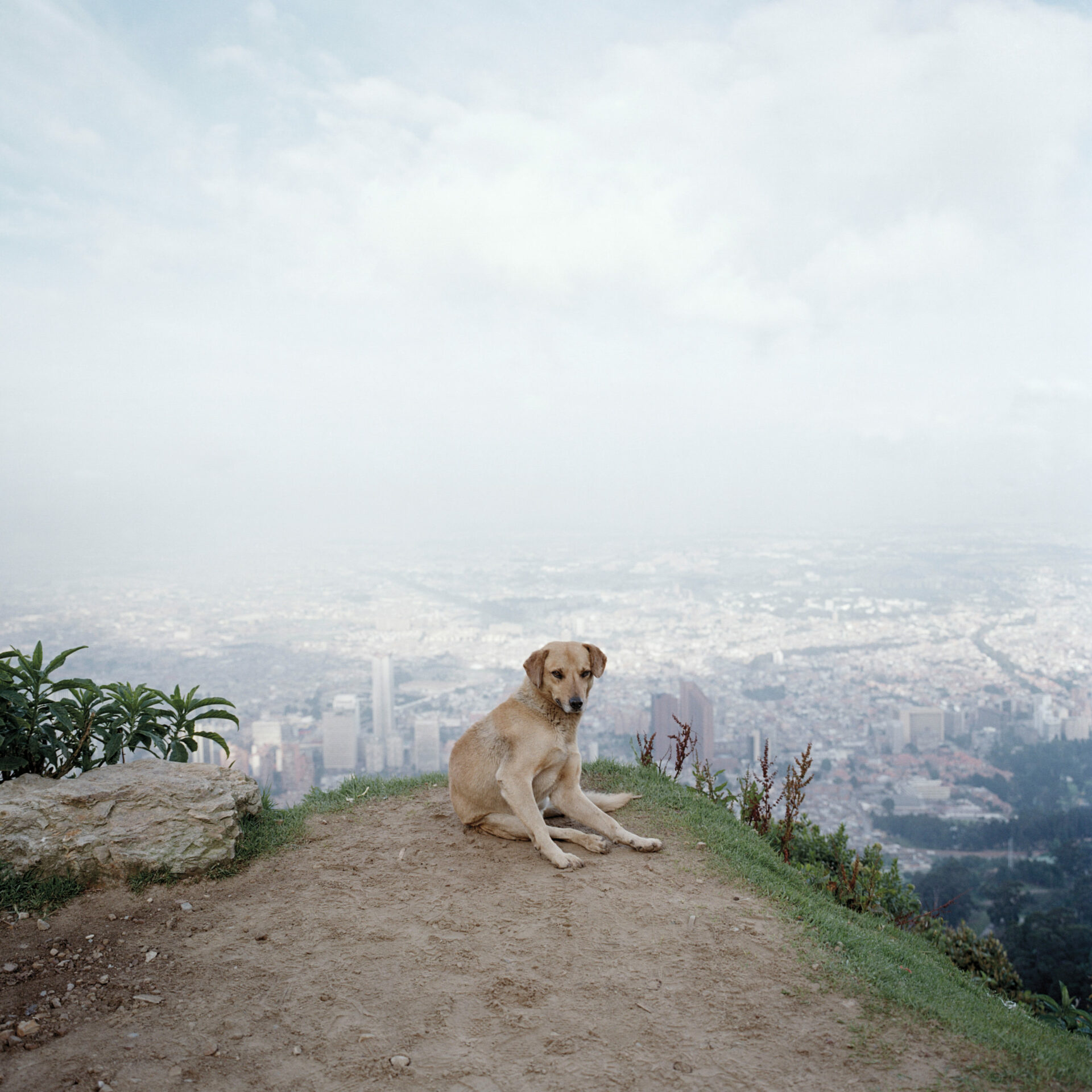 Alec Soth_Dog-Days-2003