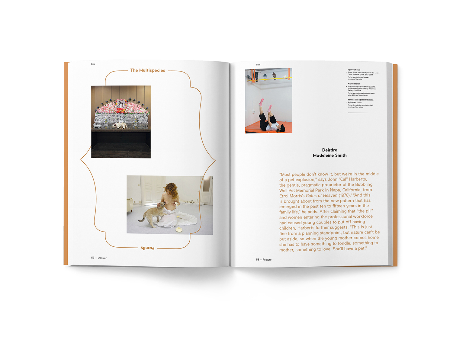 Pages intérieures Esse 107 Famille