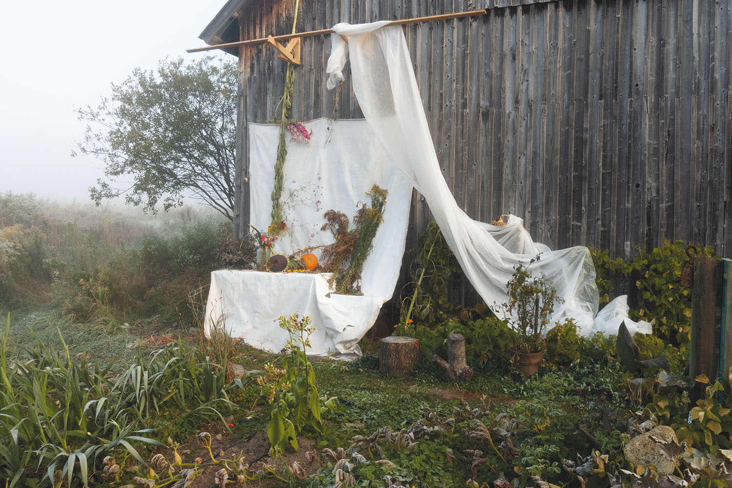 SaraATremblay-nature-morte