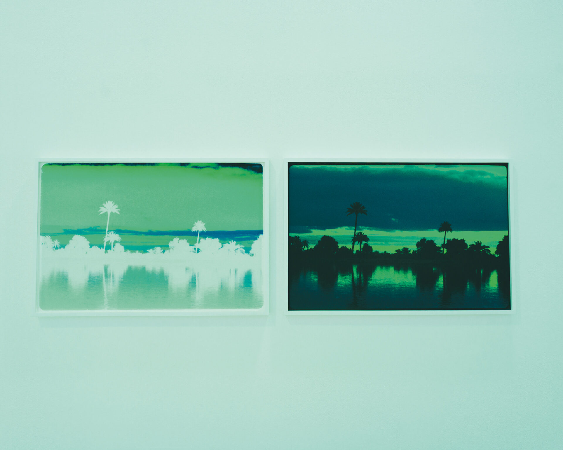 Yann-Pocreau_Fantasmescolores_tropicalia