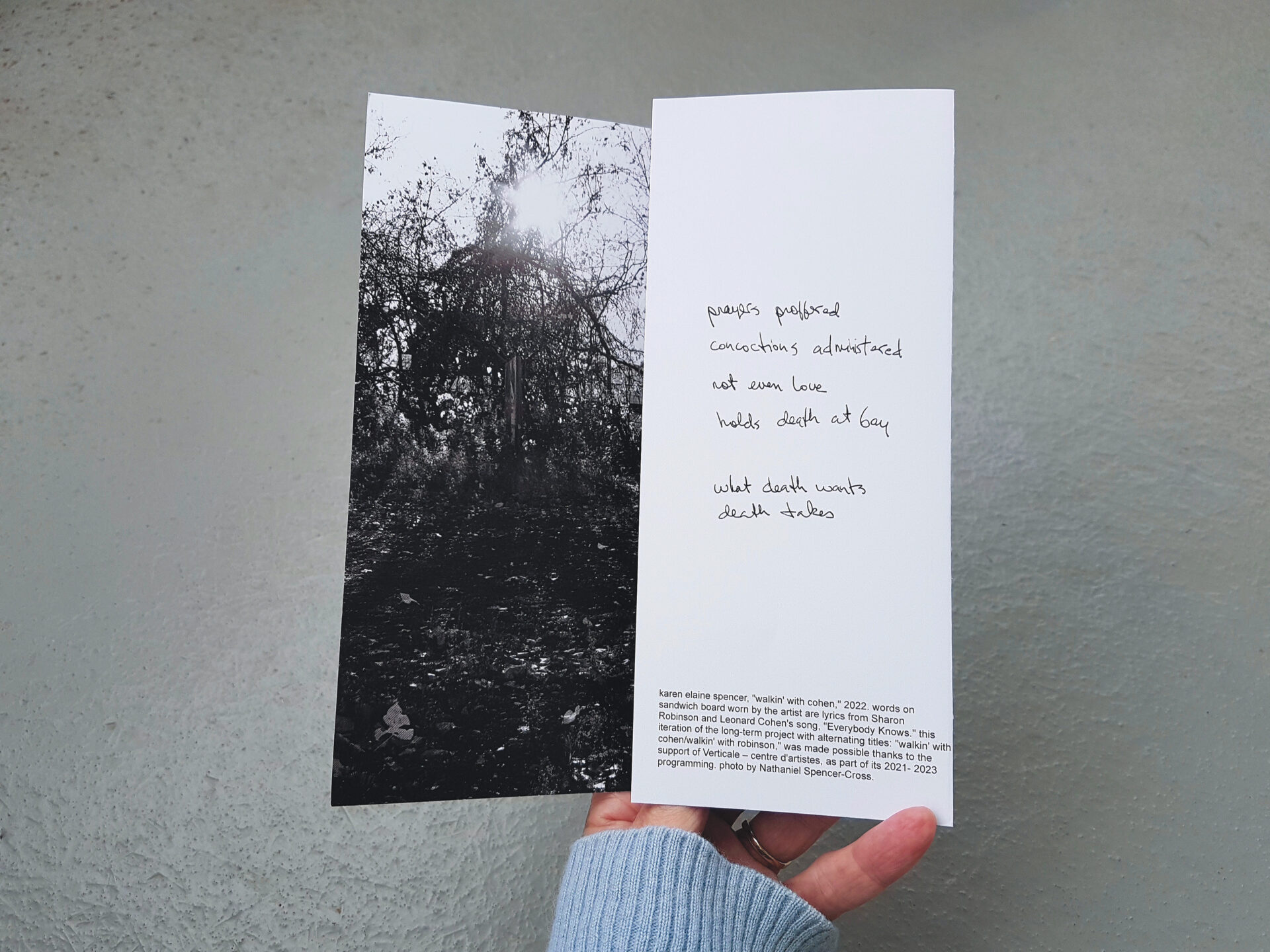 karen-elaine-spencer_fallenleaves
