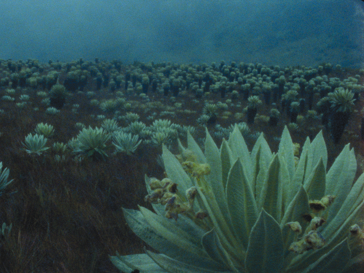 Pablo-Alvarez-Mesa_La-laguna-del-soldado