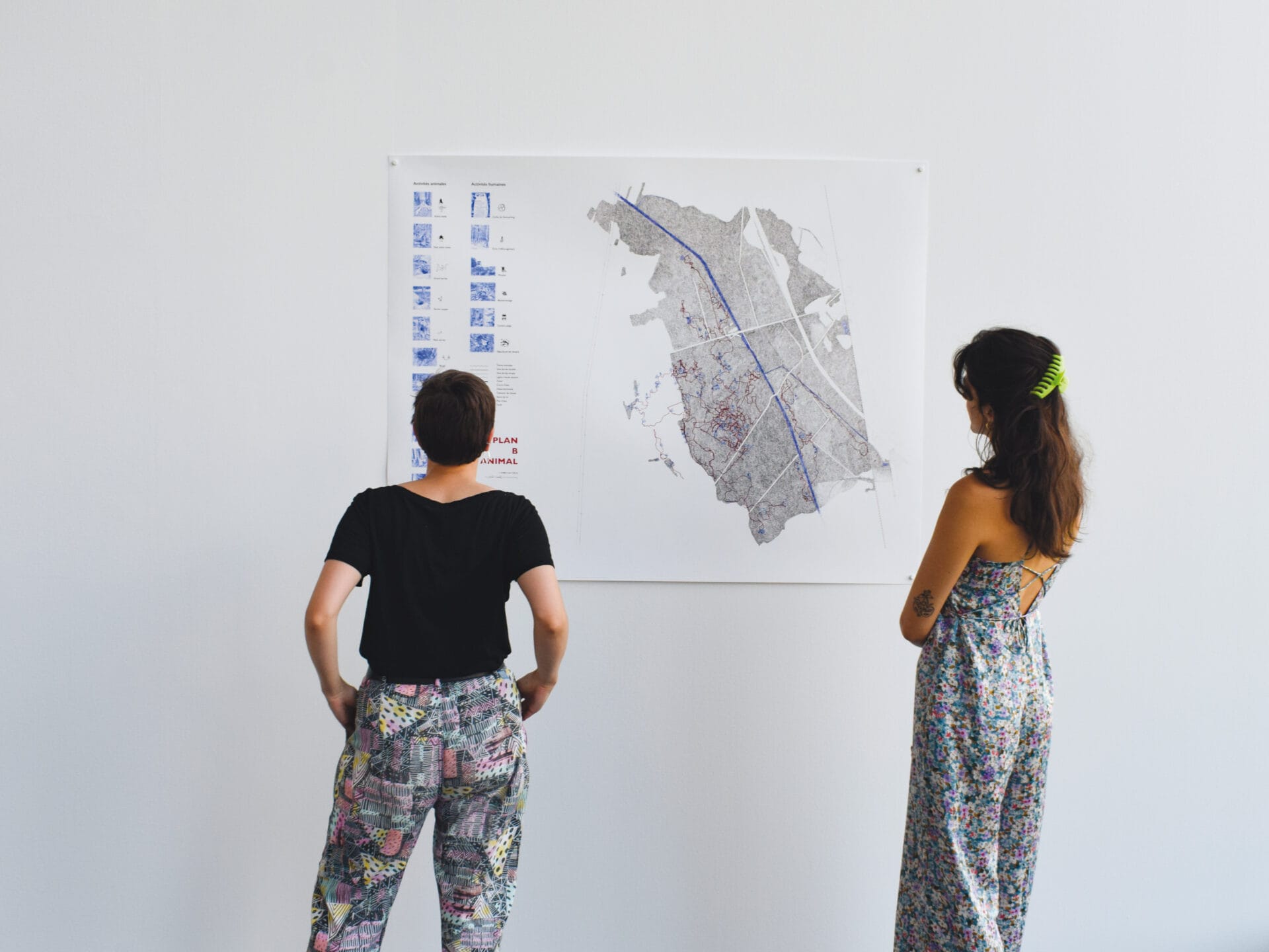Katrin-Gattinger-Anna-Guilló_PlanBAnimal