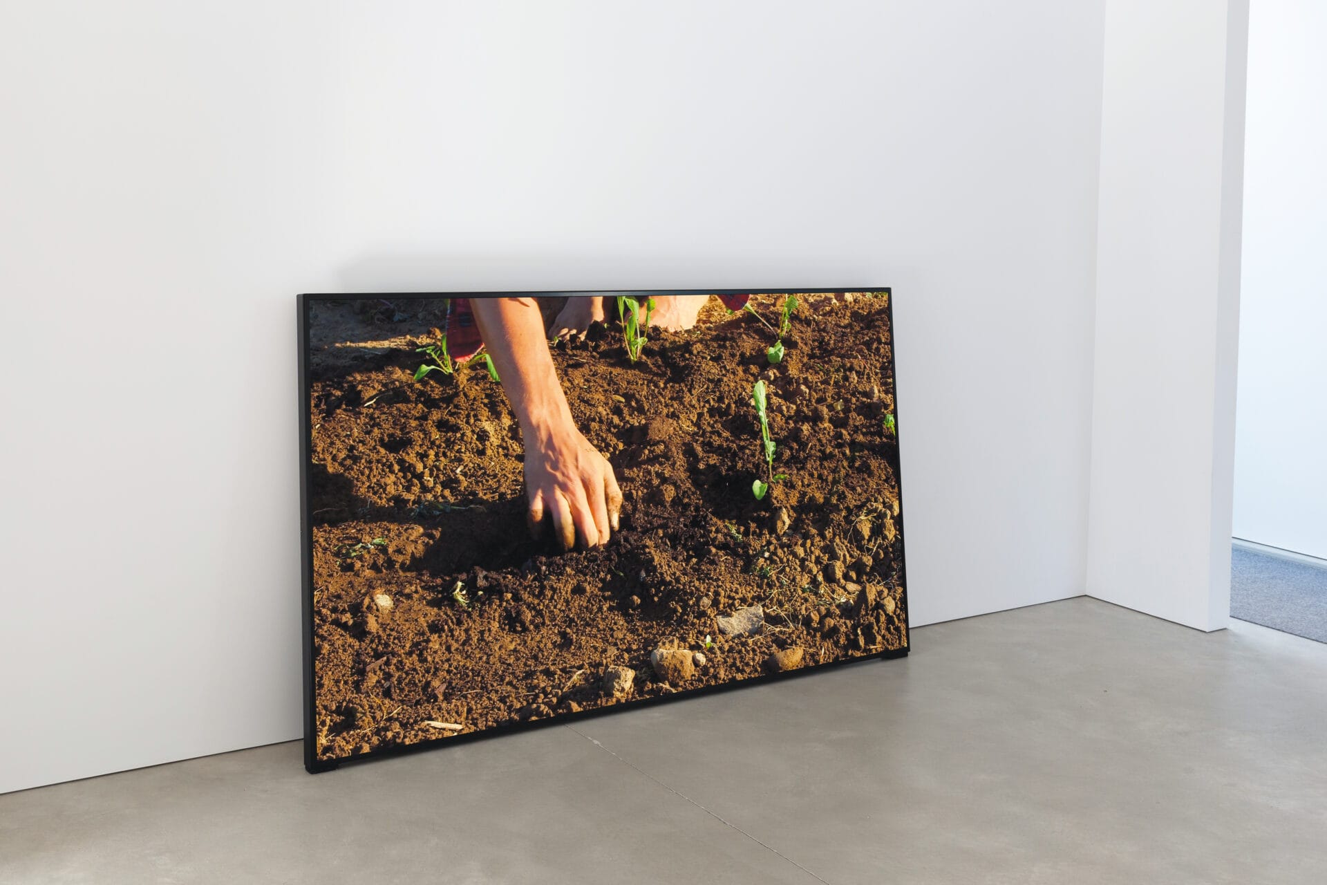 Richard-Ibghy-Marilou-Lemmens