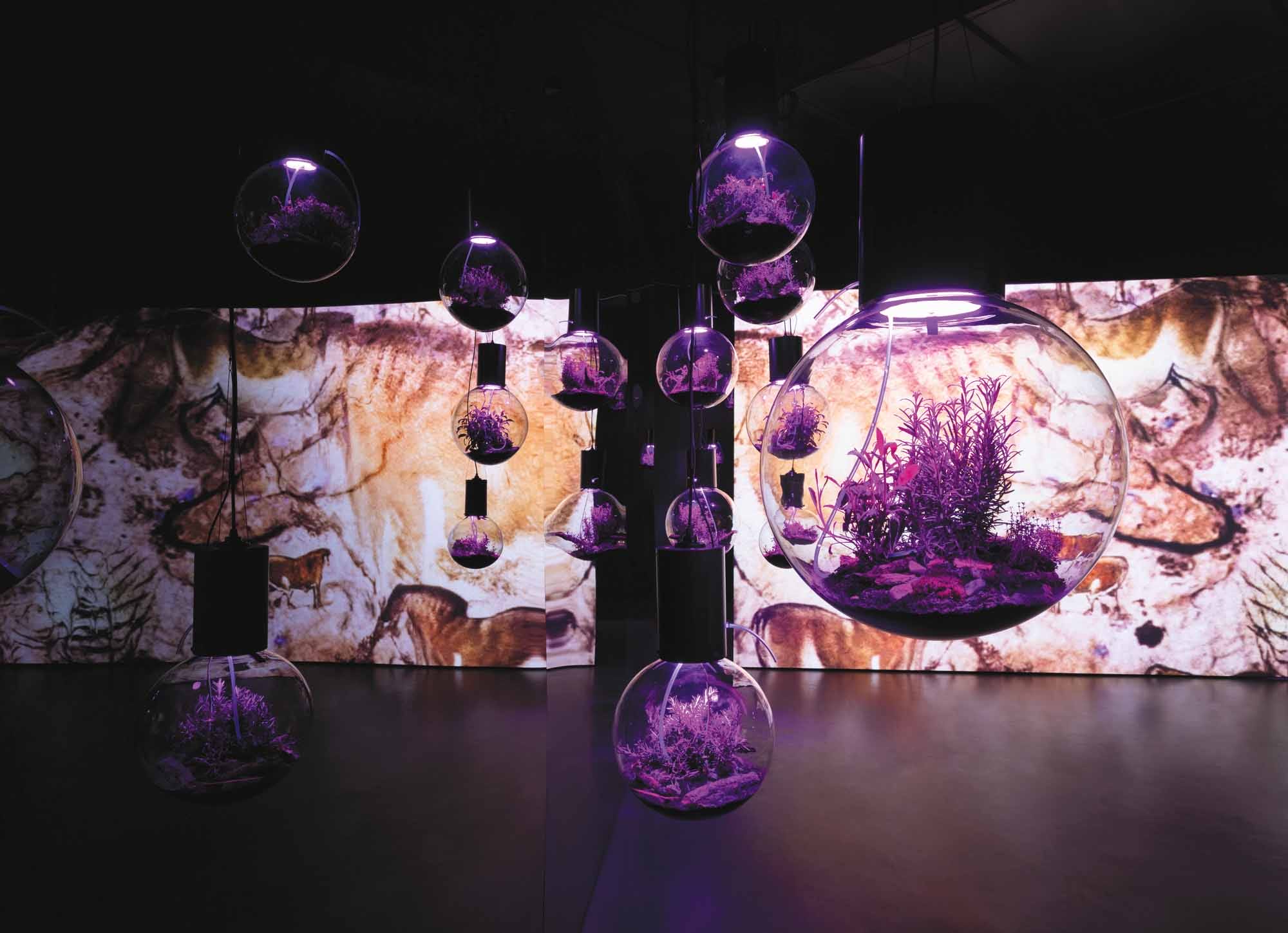 Hito-Steyerl