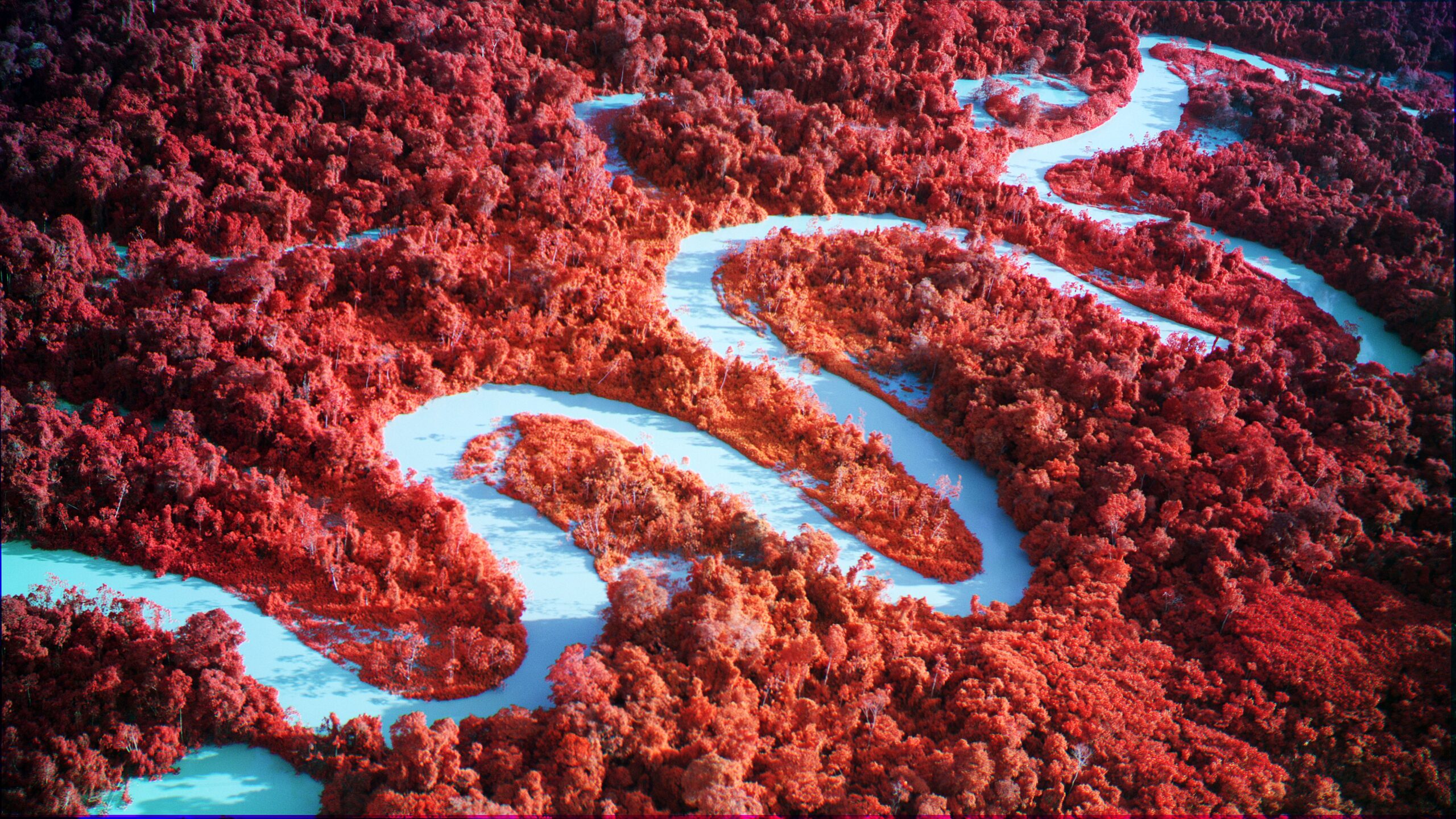 Richard Mosse