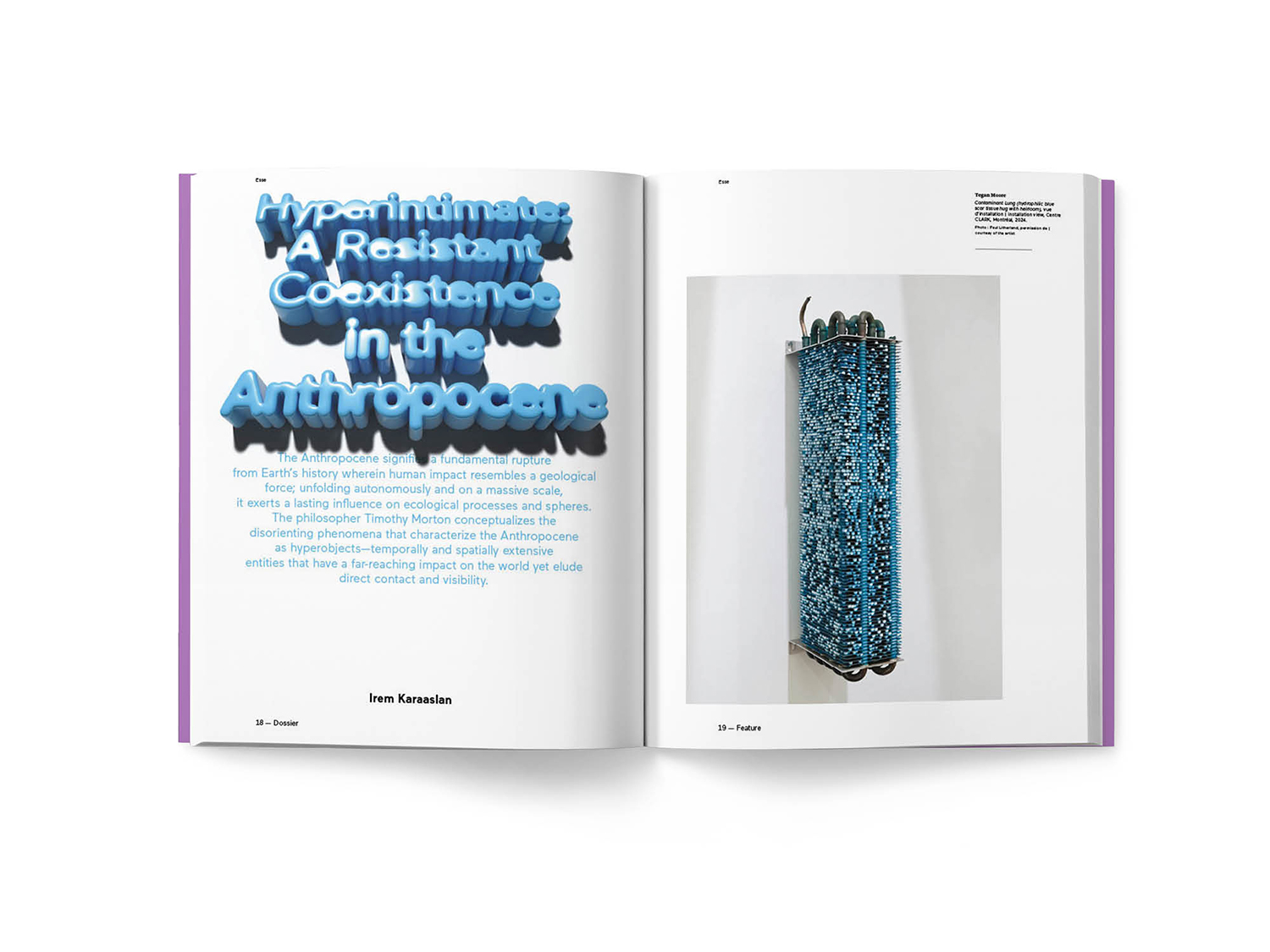 Esse 113 Plastiques - Plastics : Pages intérieures