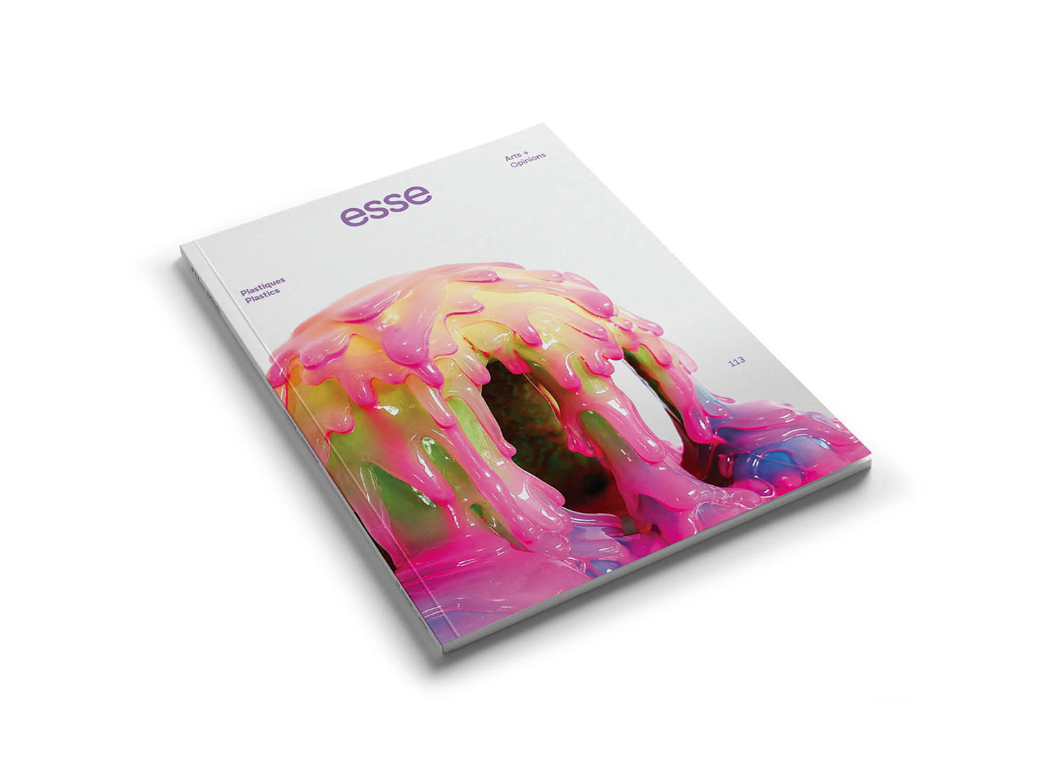 Esse 113 Plastiques - Plastics : Couverture arrière