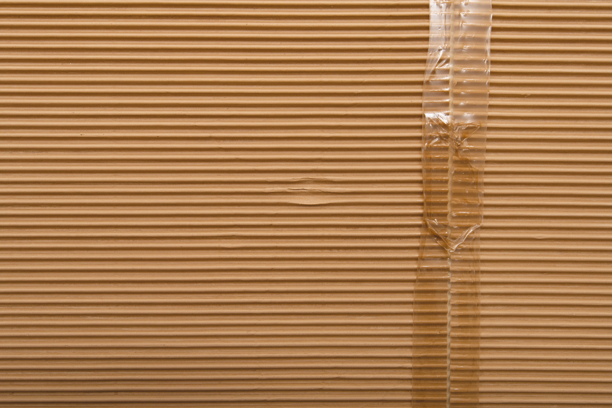 Tammi Campbell, Vir Heroicus Sublimis, vue d’installation, Blouin Division, Toronto, 2018. Photo : permission de l'artiste & Blouin Division, Montréal & Toronto