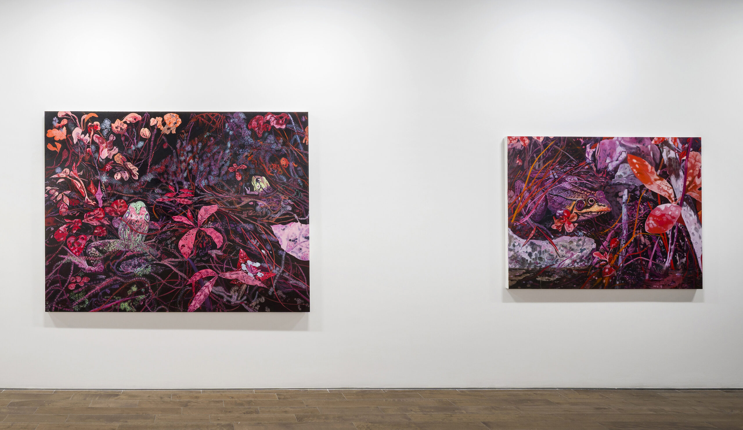 Matt Shane In Fitzca's Pond, 2025