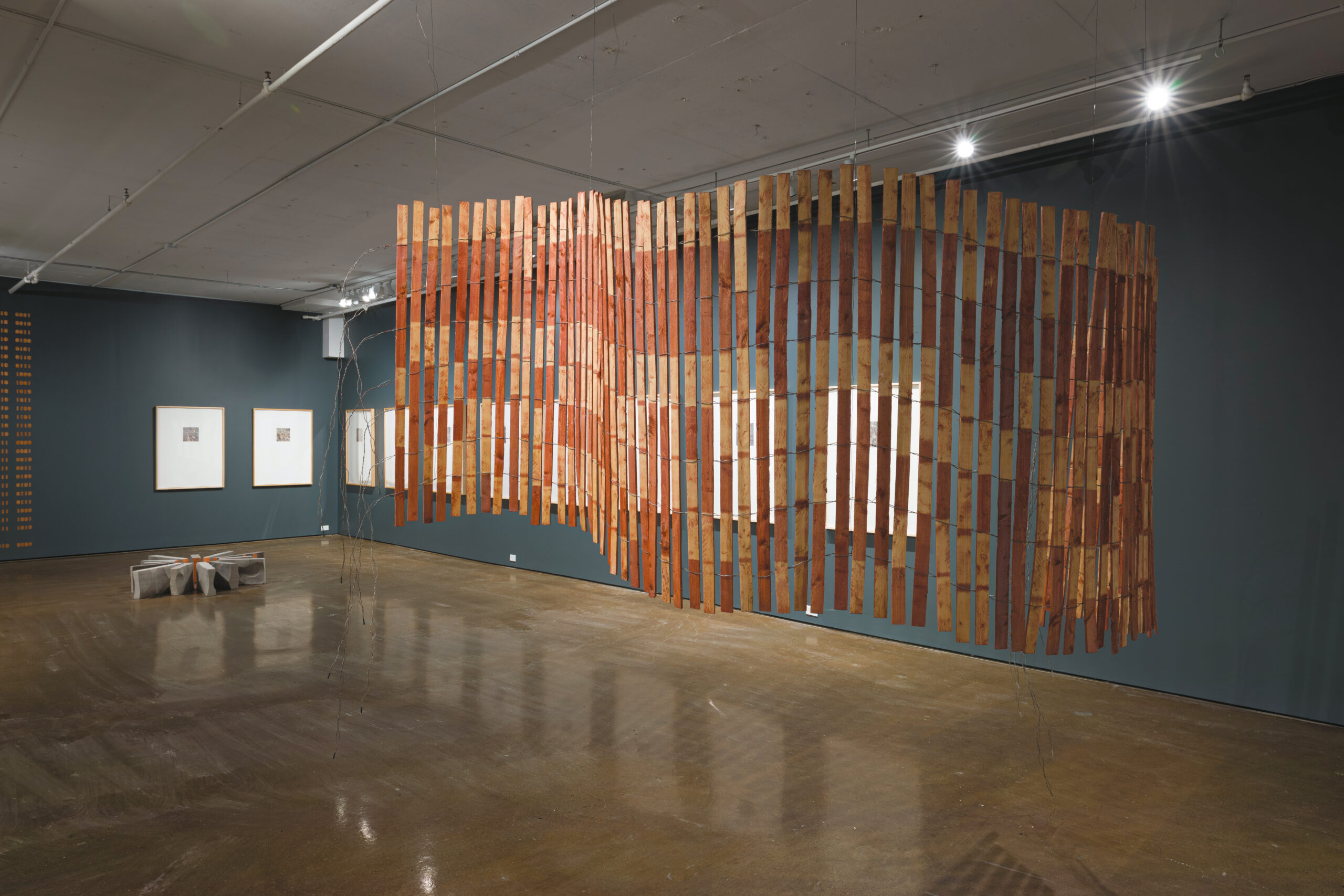 Michael Belmore bzaan-yaa/en silence, immobile/be quiet, be still, 2025.