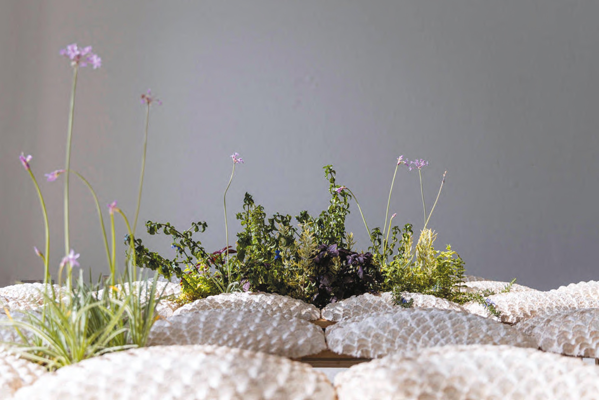 Mae-ling Lokko Healing Meadow, vue d’installation, Z33, Hasselt, 2021.