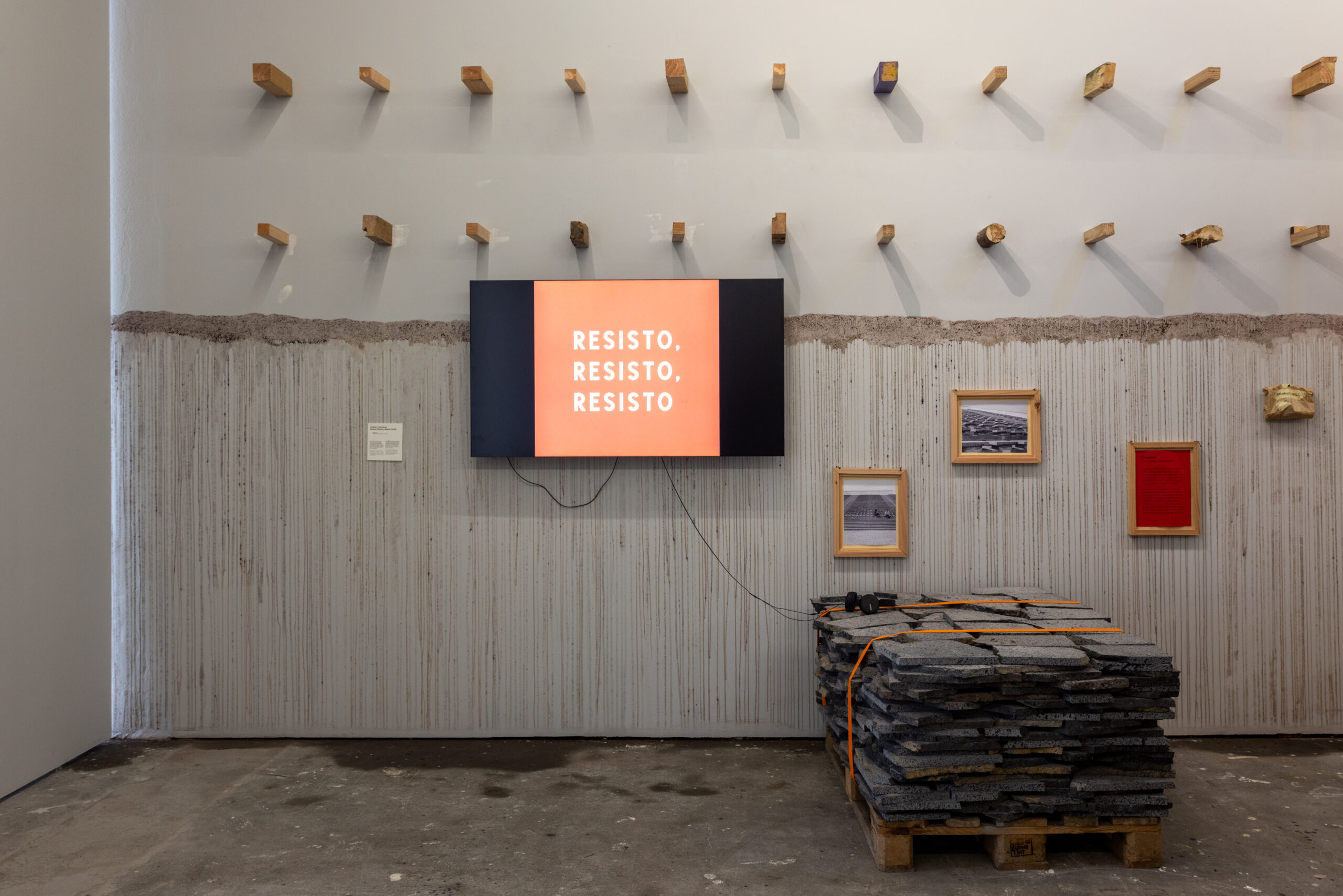 Catarina GonçalvesResisto Resisto Resisto