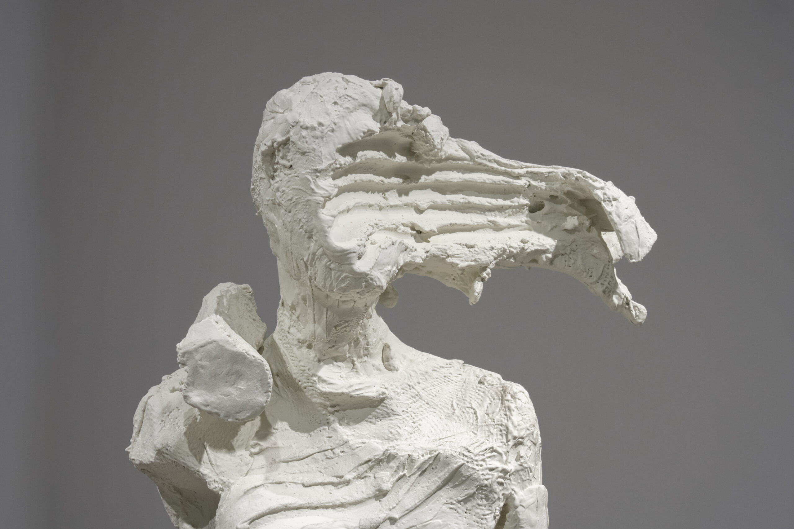 David Altmejd, La charge