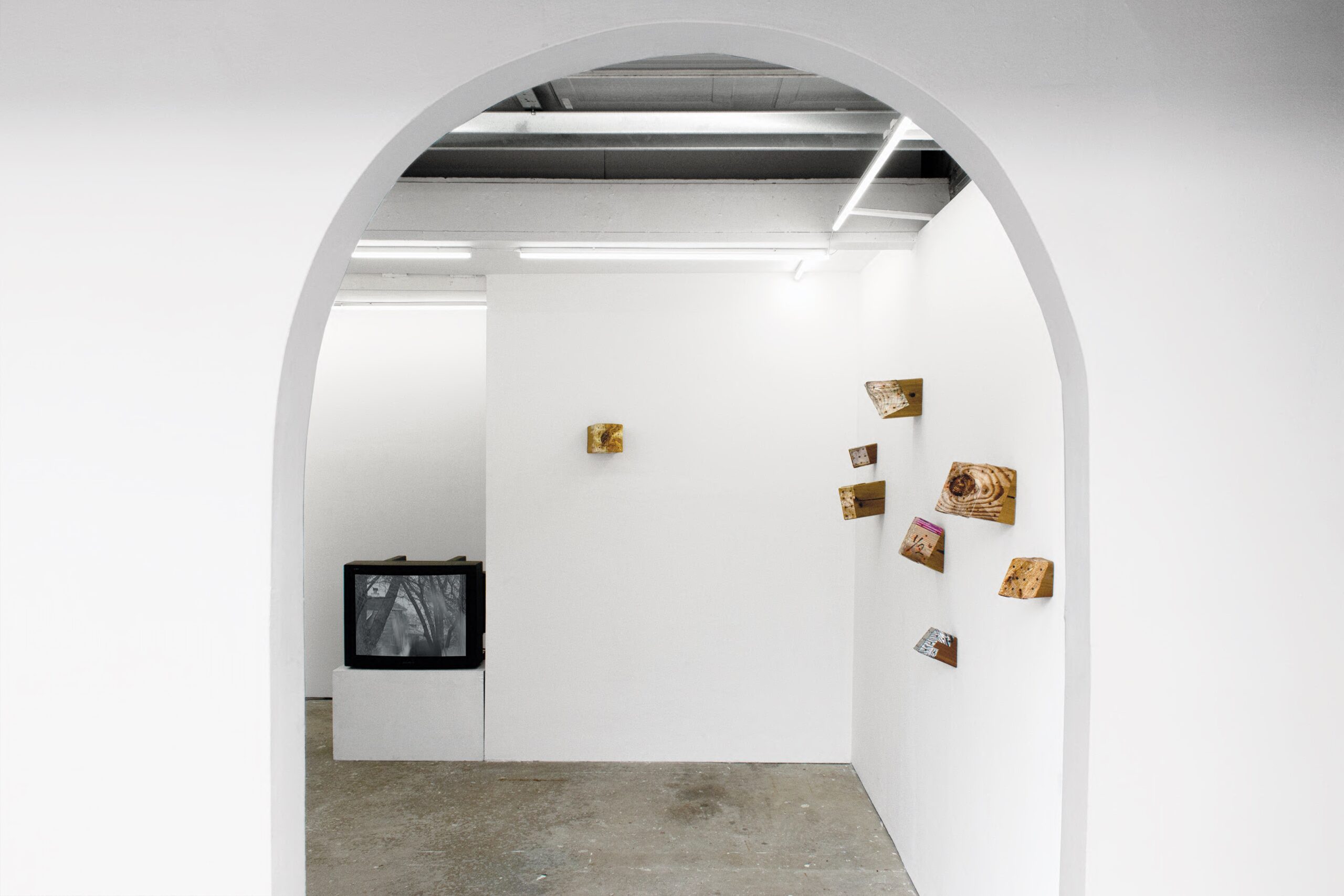 Alan Belcher & Steffani Jemison, view