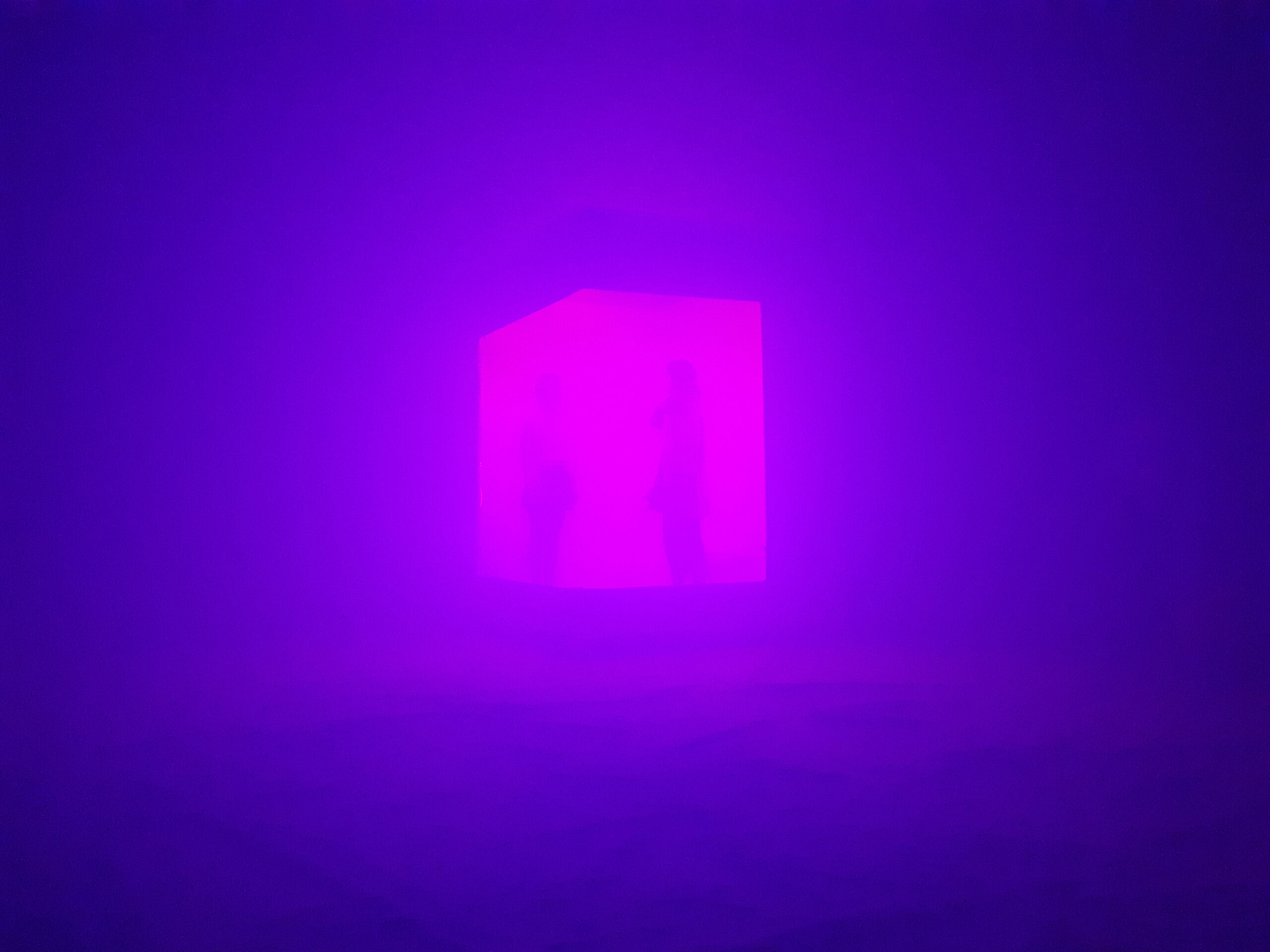 L’eau du bain De glace, 2022.